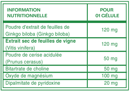 Neuro Boost-mô Tả
